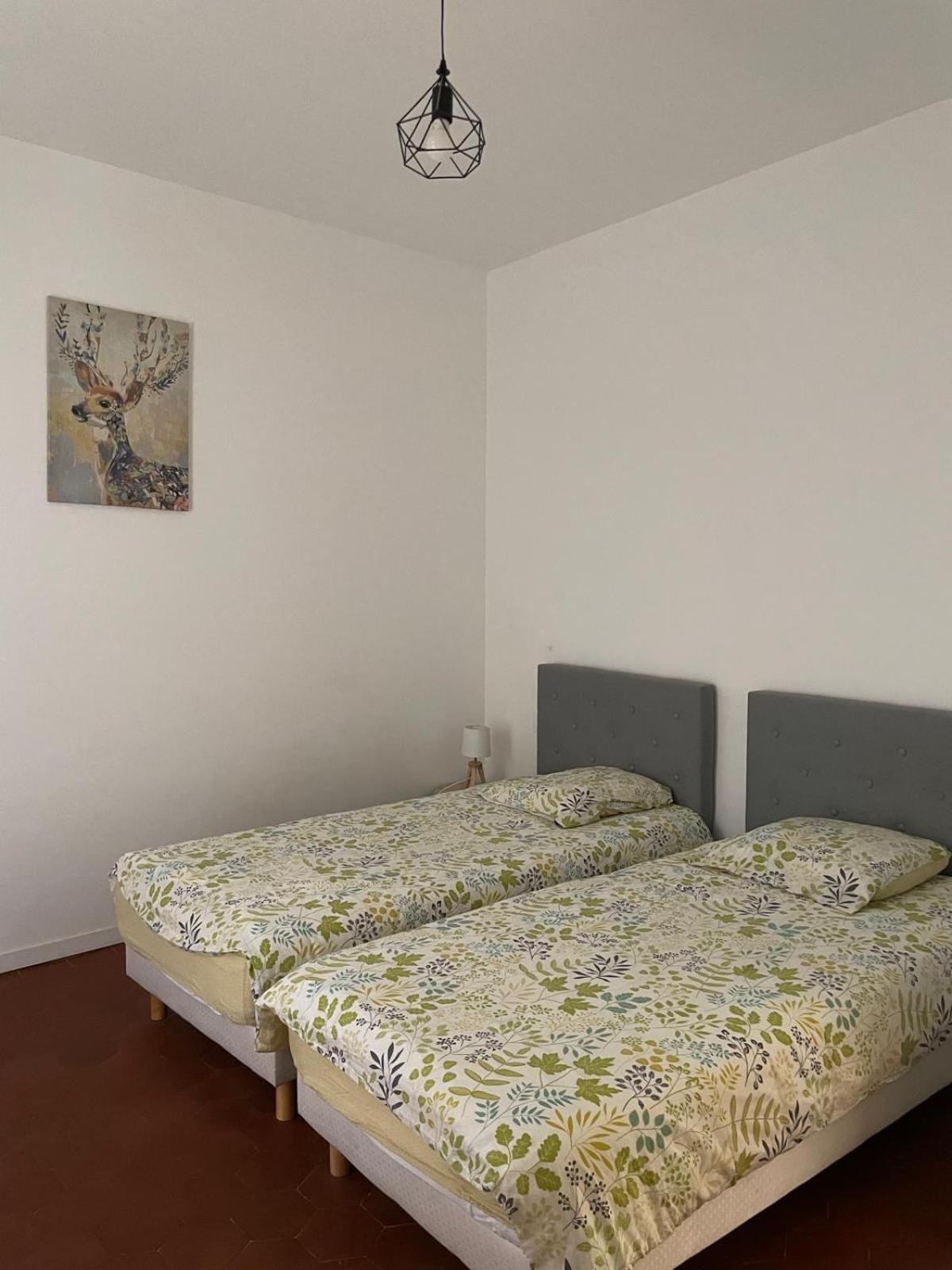 Appartement Gaudi Centre Historique بيربينيو المظهر الخارجي الصورة